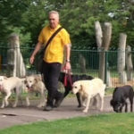 Vic Barlow - Training and Dog Psychology